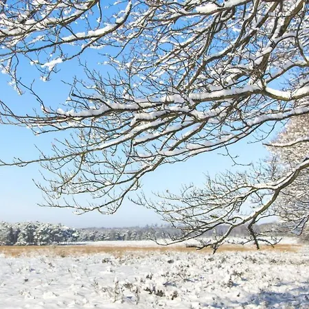 Stayatsas Julia Stijlvol Ingericht, Kindvriendelijk, In Het Bos, Hondje Mag Mee, Parkeren Op Oprit *