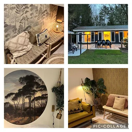 Chalet Stayatsas Tiny House Julia In De Bossen Op De Veluwe! *