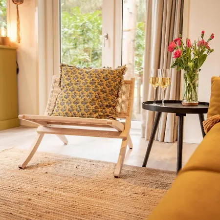 Stayatsas Julia Stijlvol Ingericht, Kindvriendelijk, In Het Bos, Hondje Mag Mee, Parkeren Op Oprit