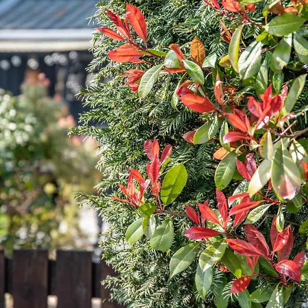 Stayatsas Julia Stijlvol Ingericht, Kindvriendelijk, In Het Bos, Hondje Mag Mee, Parkeren Op Oprit