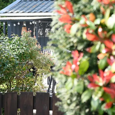 Stayatsas Tiny House Julia In De Bossen Op De Veluwe! *