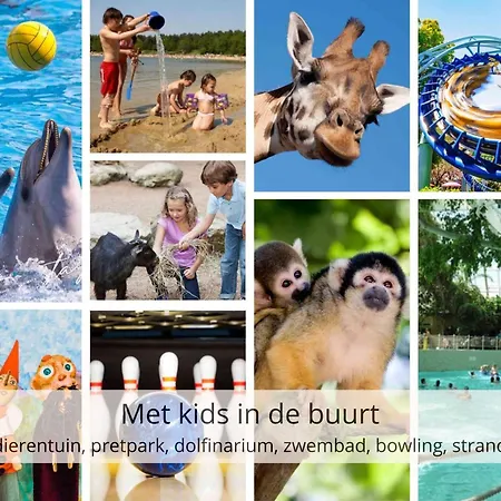 Chalet Stayatsas Julia Stijlvol Ingericht, Kindvriendelijk, In Het Bos, Hondje Mag Mee, Parkeren Op Oprit