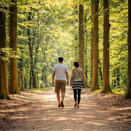 Stayatsas Julia, Stijlvol Natuurhuisje Met Grote Omheinde Tuin * Epe