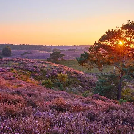 Stayatsas Julia, Stijlvol Natuurhuisje Met Grote Omheinde Tuin *
