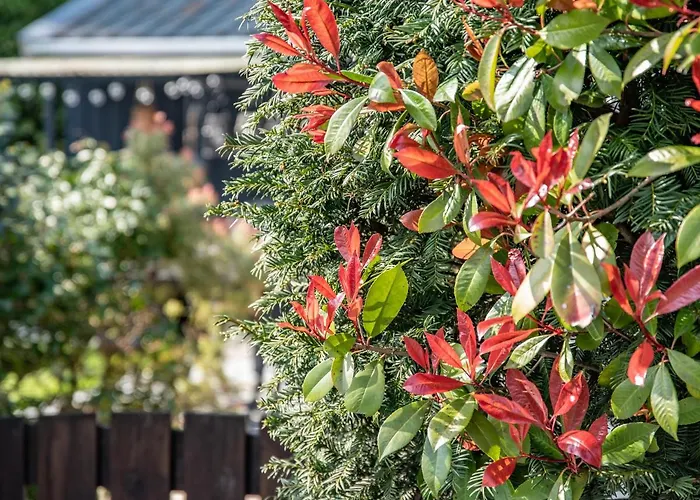 Stayatsas Julia Stijlvol Ingericht, Kindvriendelijk, In Het Bos, Hondje Mag Mee, Parkeren Op Oprit