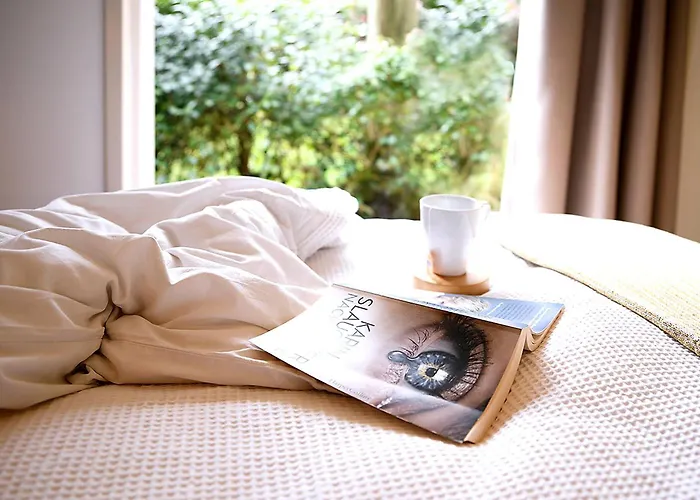 Natuurhuisje Met Omheinde Tuin Hond Welkom Stijlvol Ingericht Stayatsas Julia Chalet