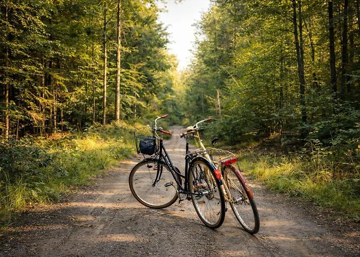 Natuurhuisje Met Omheinde Tuin Hond Welkom Stijlvol Ingericht Stayatsas Julia Chalet *