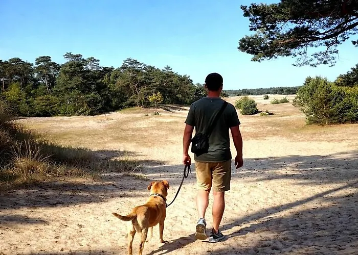 Natuurhuisje Met Omheinde Tuin Hond Welkom Stijlvol Ingericht Stayatsas Julia