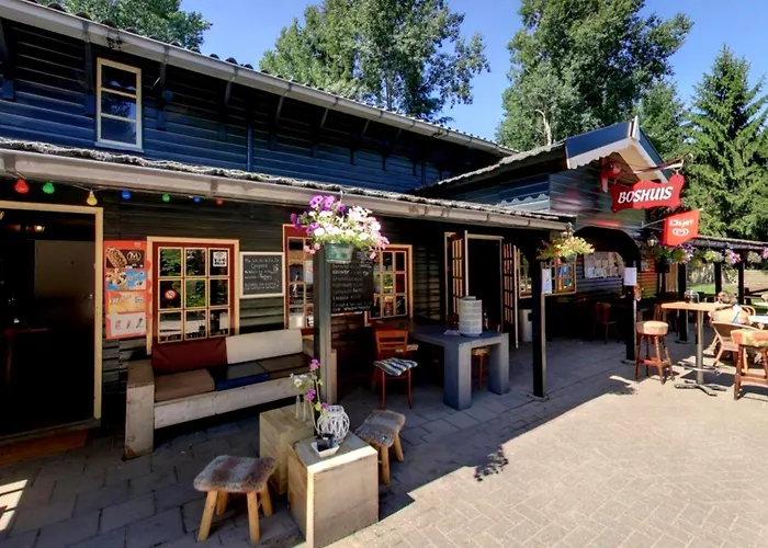 Natuurhuisje Met Omheinde Tuin Hond Welkom Stijlvol Ingericht Stayatsas Julia