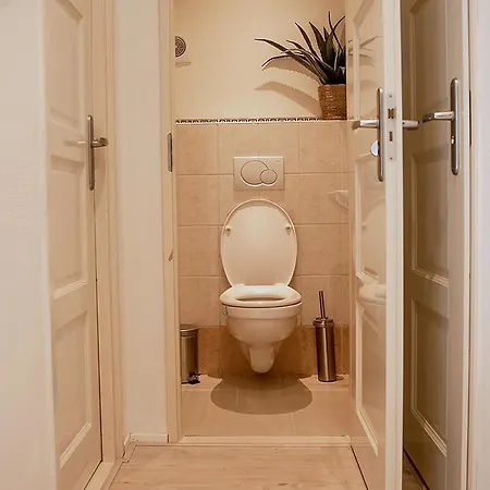 Stayatsas Julia Stijlvol Ingericht, Kindvriendelijk, In Het Bos, Hondje Mag Mee, Parkeren Op Oprit * Epe