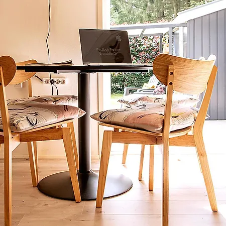 Stayatsas Julia Stijlvol Ingericht, Kindvriendelijk, In Het Bos, Hondje Mag Mee, Parkeren Op Oprit * Epe