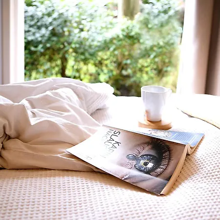 Stayatsas Julia Stijlvol Ingericht, Kindvriendelijk, In Het Bos, Hondje Mag Mee, Parkeren Op Oprit Chalet