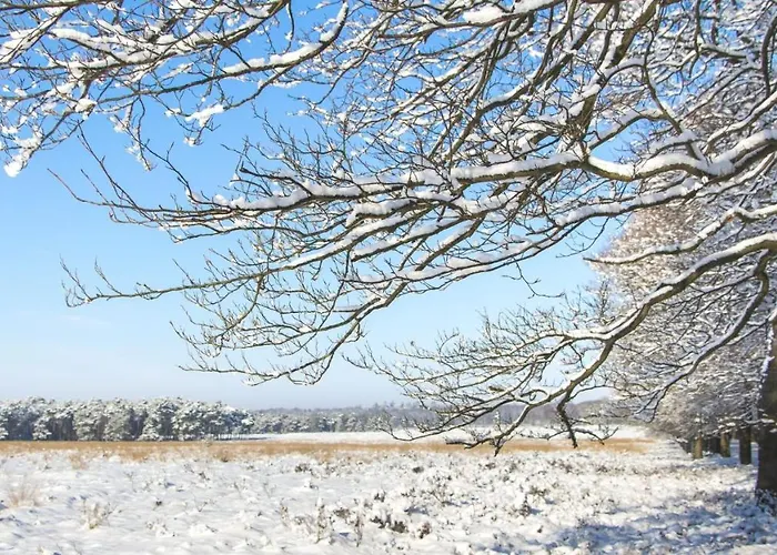 Stayatsas Julia Stijlvol Ingericht, Kindvriendelijk, In Het Bos, Hondje Mag Mee, Parkeren Op Oprit *