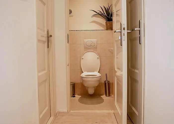 Stayatsas Julia Stijlvol Ingericht, Kindvriendelijk, In Het Bos, Hondje Mag Mee, Parkeren Op Oprit * Epe