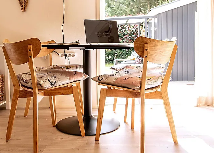 Natuurhuisje Met Omheinde Tuin Hond Welkom Stijlvol Ingericht Stayatsas Julia * Epe